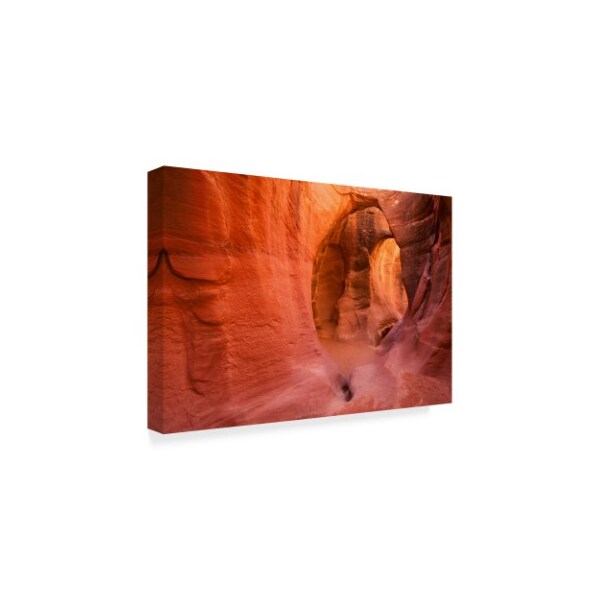 Michael Blanchette Photography 'Stone Tunnel' Canvas Art,30x47